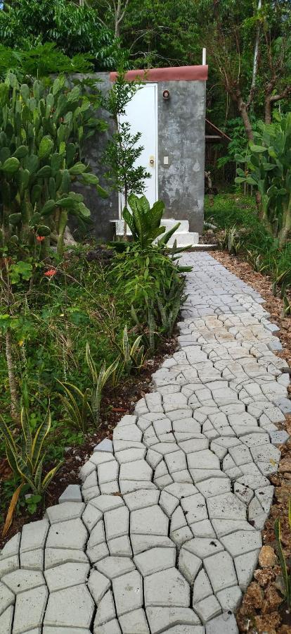 Little Nomads Eco-guesthouse Hostel