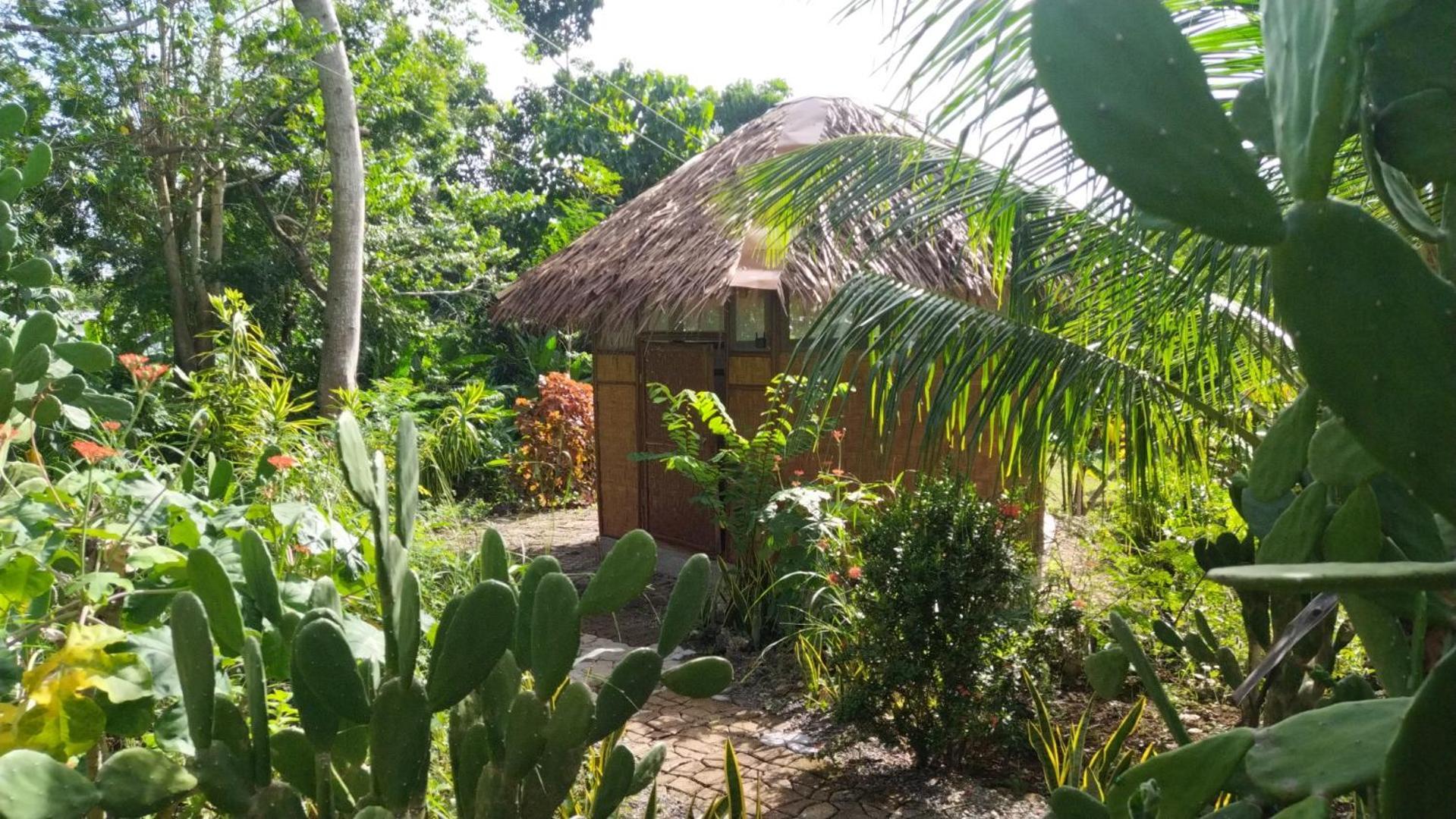 Little Nomads Eco-guesthouse * Siquijor