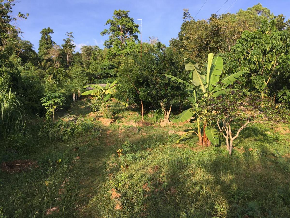 Little Nomads Eco-guesthouse Hostel *